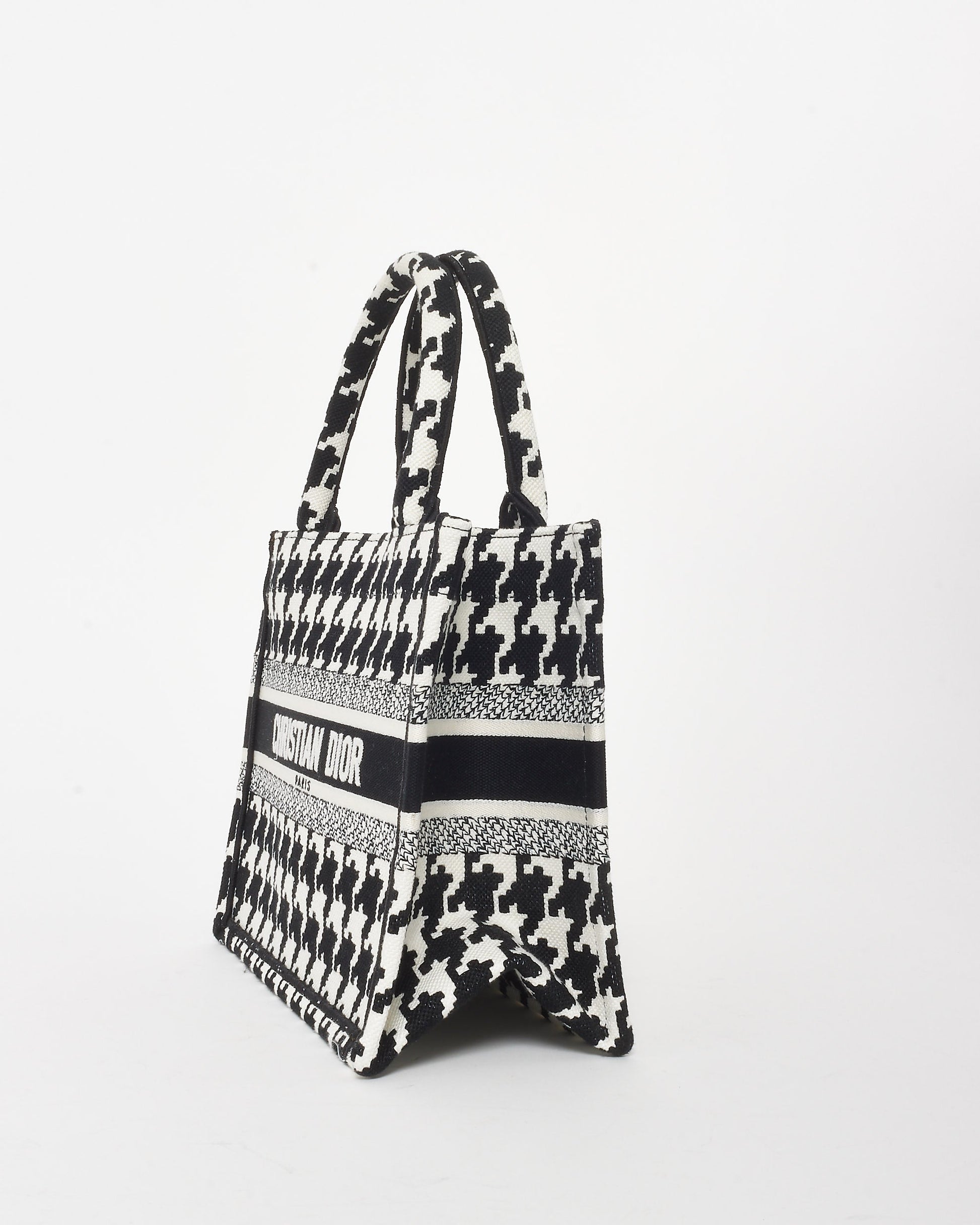 Dior Book Tote Mini Canvas Tote