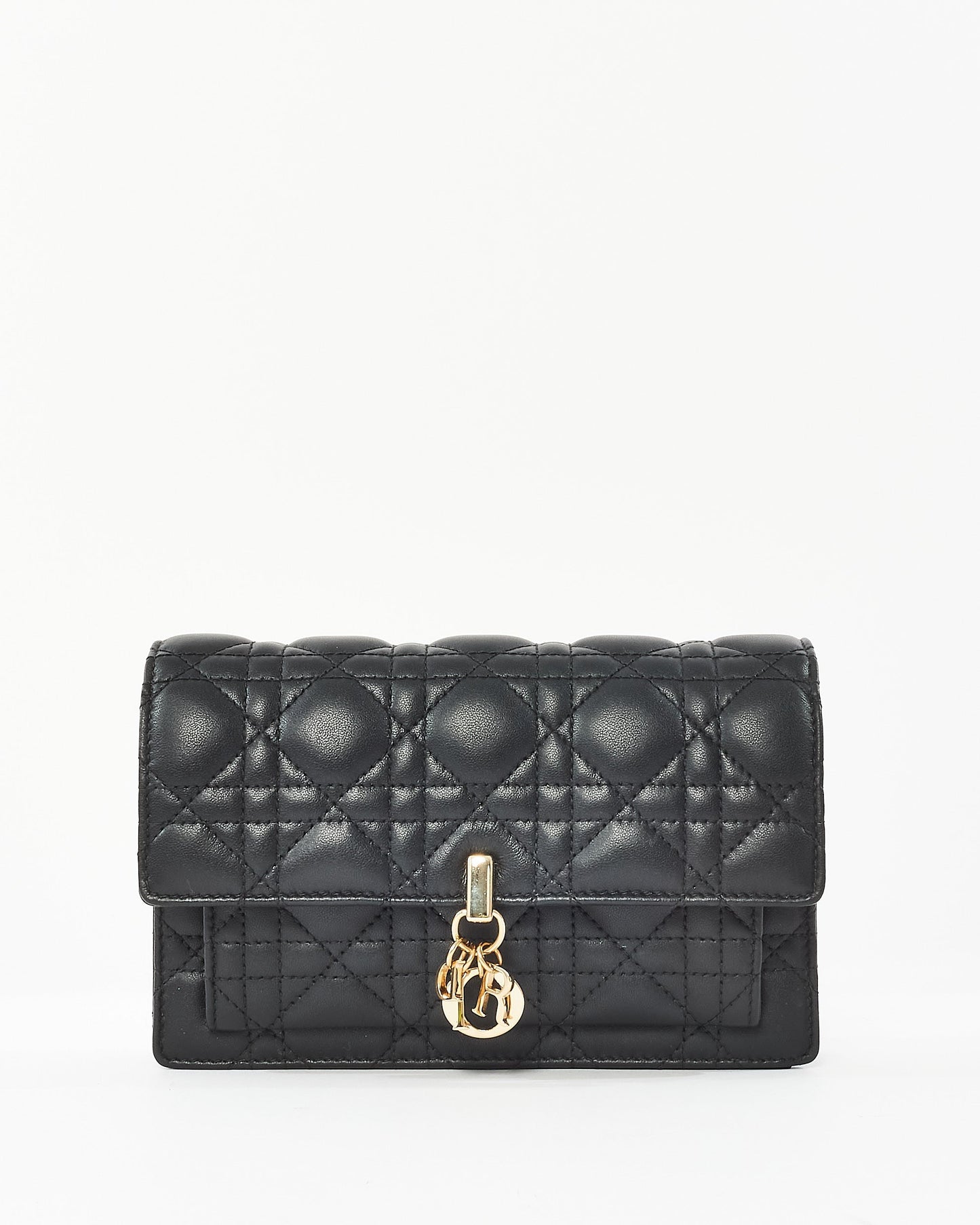 Dior Chain Leather Crossbody