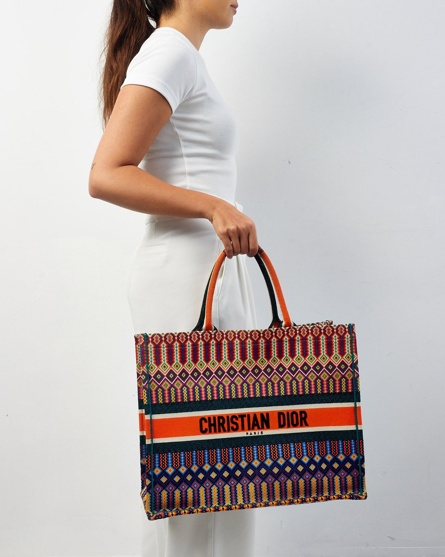 Dior Book Tote Canvas Tote