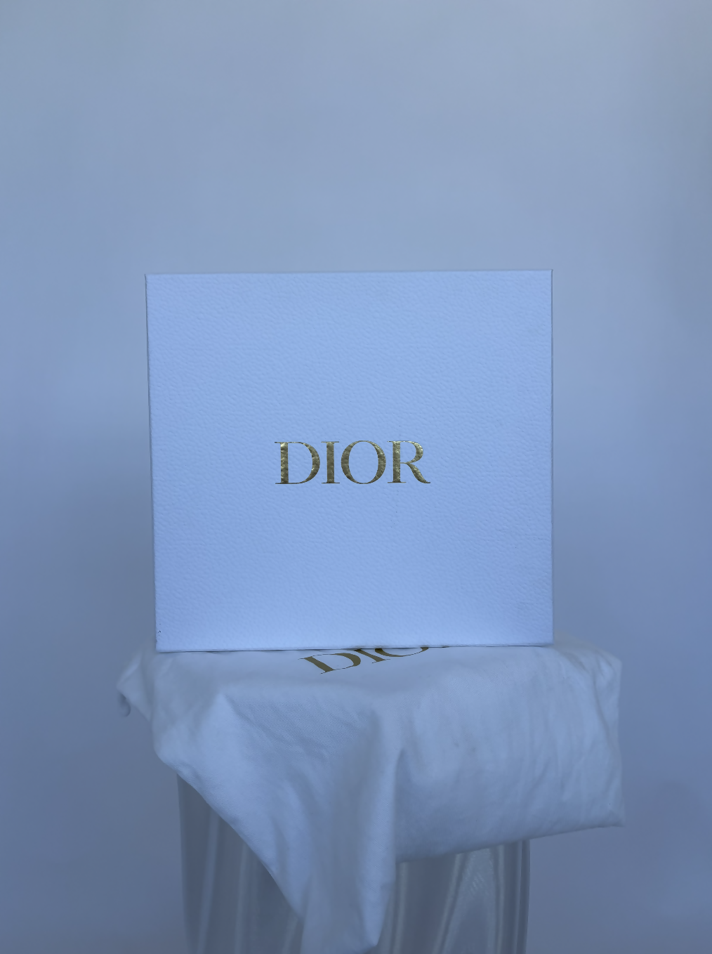 Dior Bobby Crossbody - Rovelle Bags