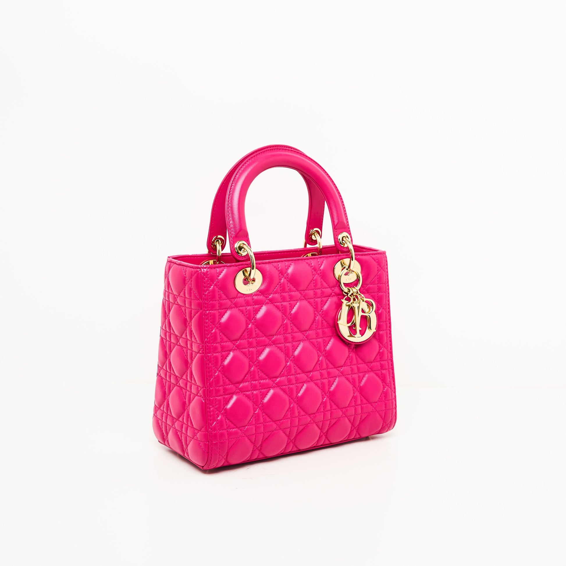 Dior Lou Lady Dior Leather Handbag