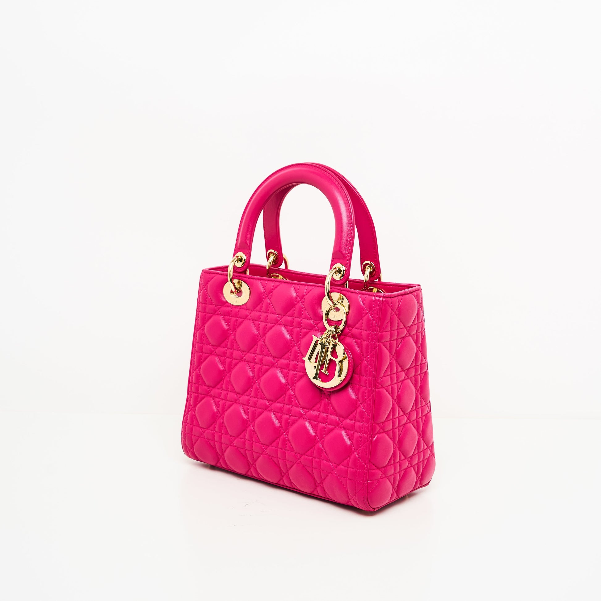 Dior Lou Lady Dior Leather Handbag