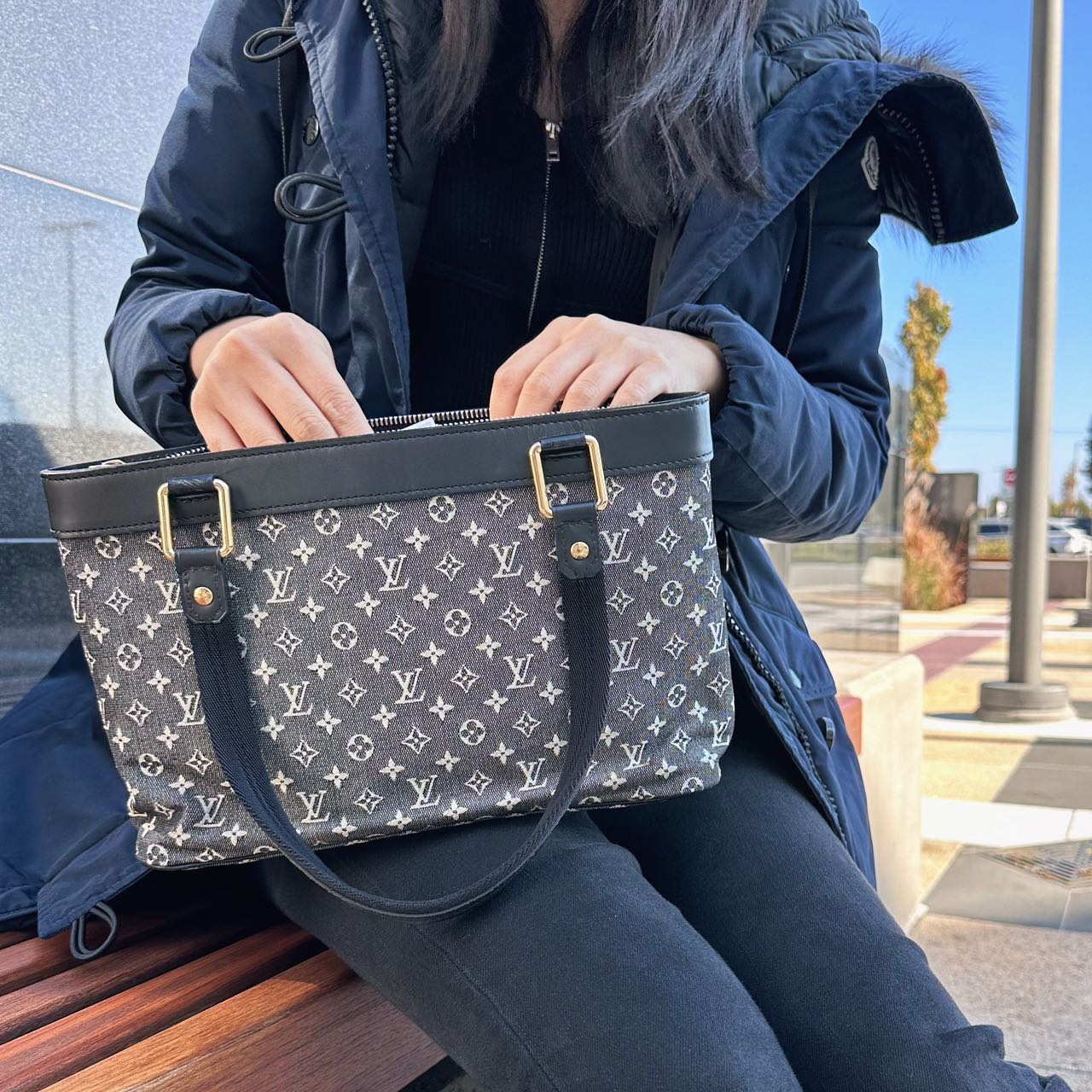 Louis Vuitton Monogram PM Canvas Lucille Shoulder Bag TWS