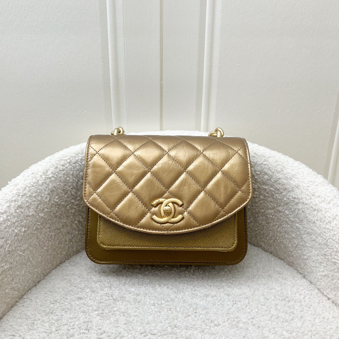 Chanel Seasonal Flap Flap Bag - Rovelle Bags