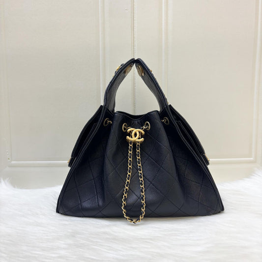 Chanel 25 Small Hobo Hobo Bag - Rovelle Bags