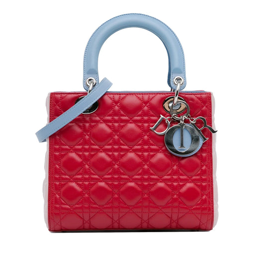 Dior Lady Dior Handbag - Rovelle Bags