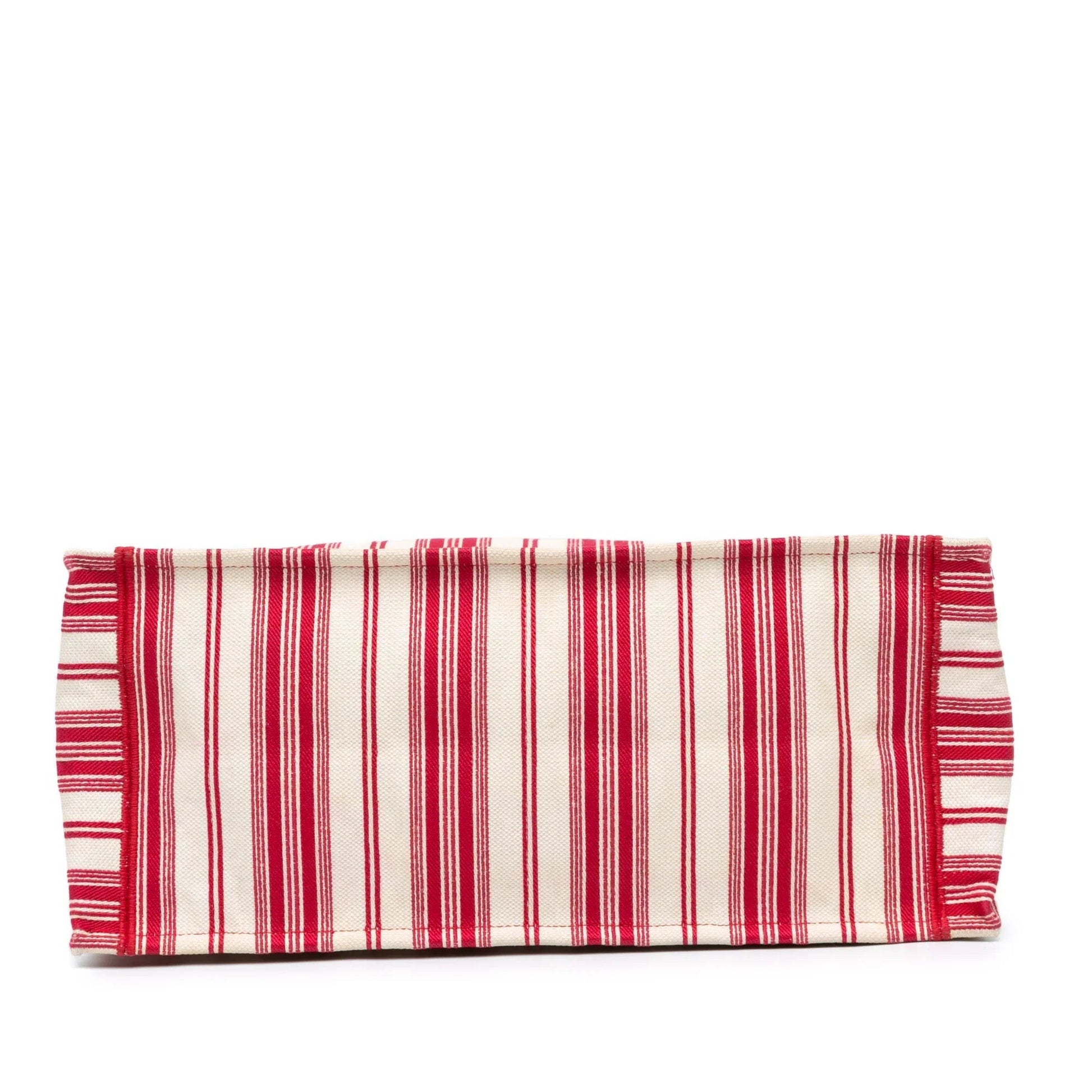 Dior Book Tote Tote - Rovelle Bags