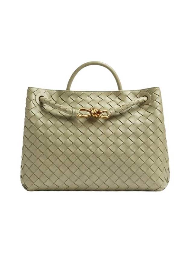 Bottega Veneta Andiamo Tote - Rovelle Bags