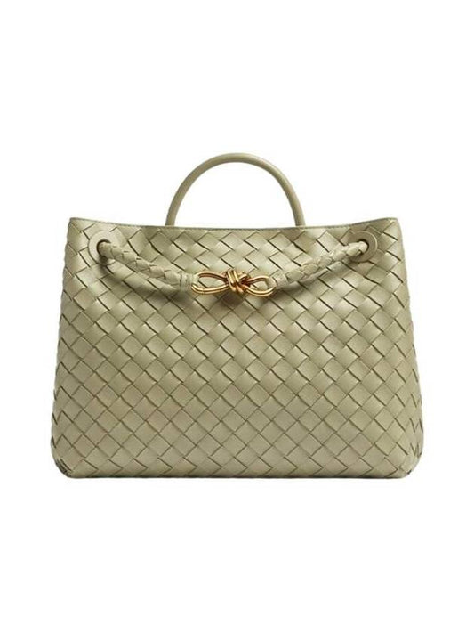 Bottega Veneta Andiamo Tote - Rovelle Bags