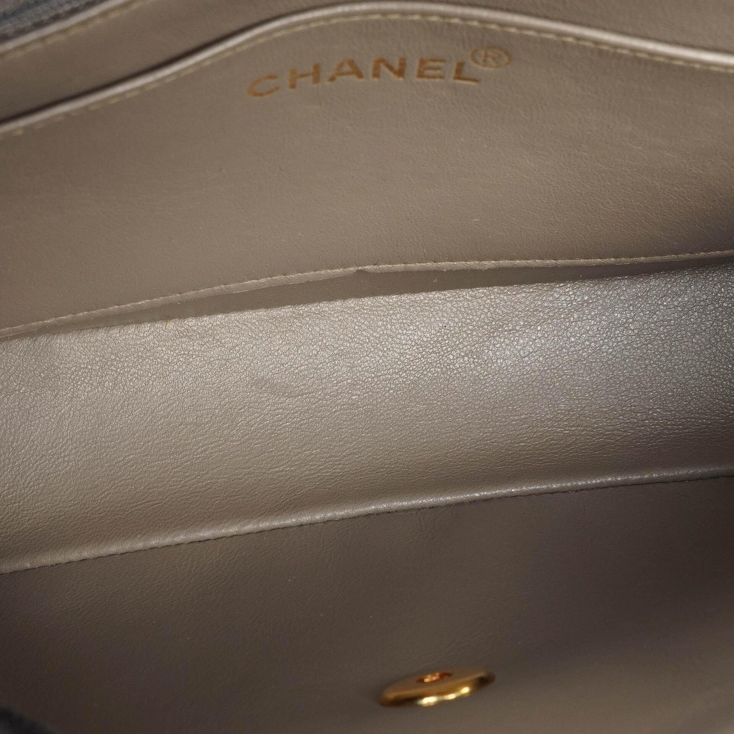 Chanel Diana Vertical Quilted Single Flap Bag With 24K Gold-Plated Hardware
