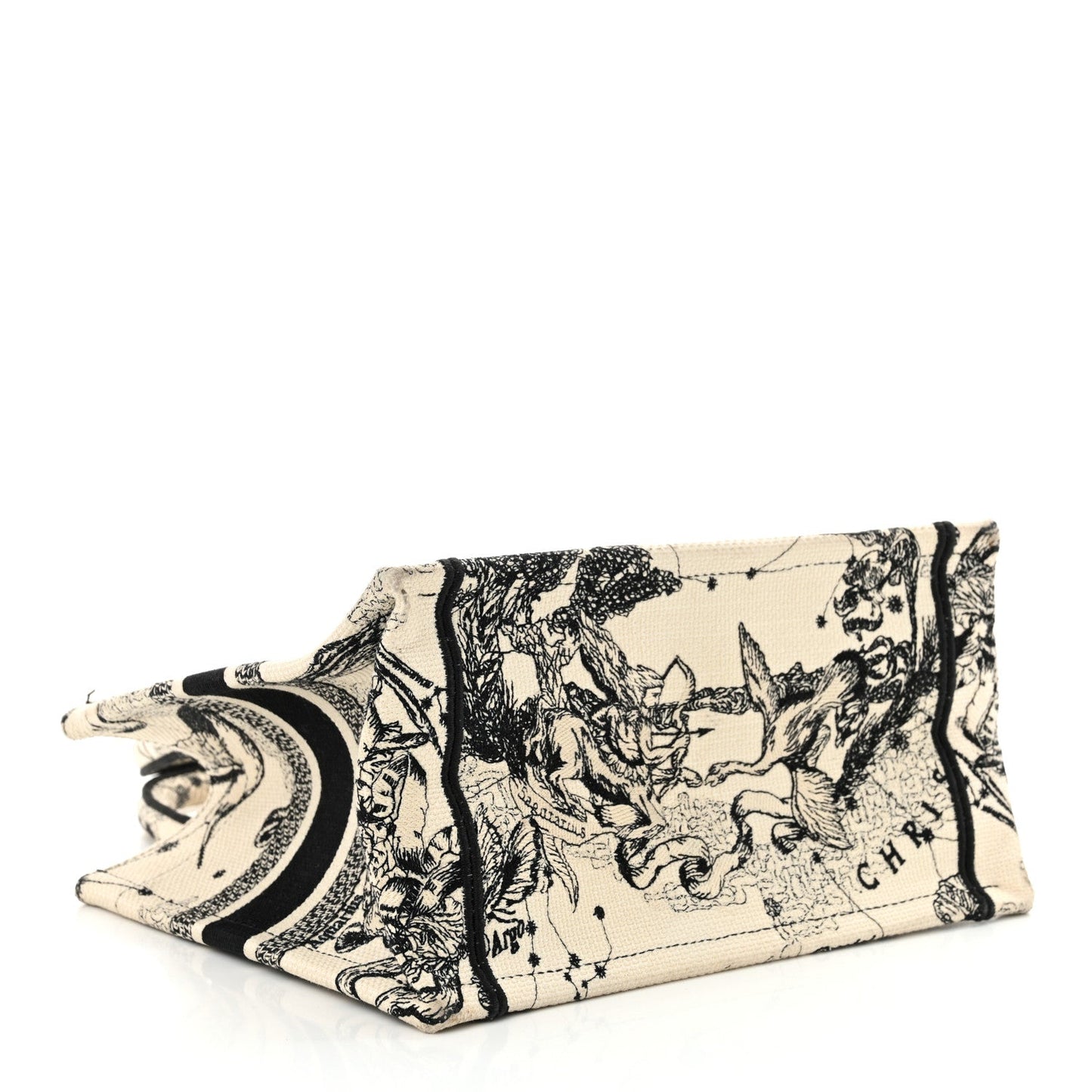 Dior Book Tote Tote - Rovelle Bags