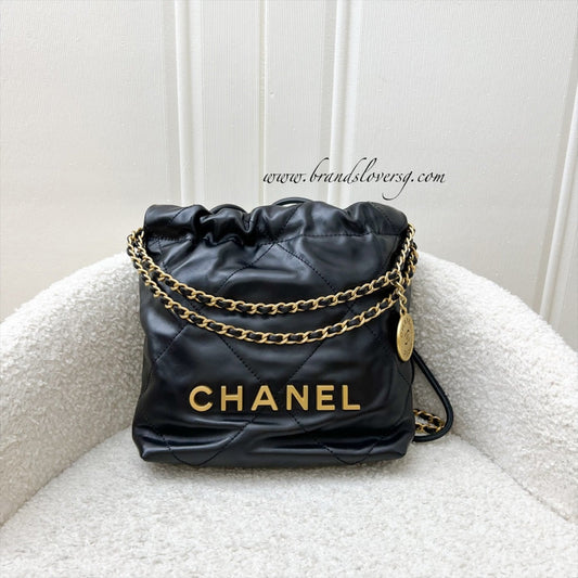 Chanel 22 Mini Hobo Handbag - Rovelle Bags