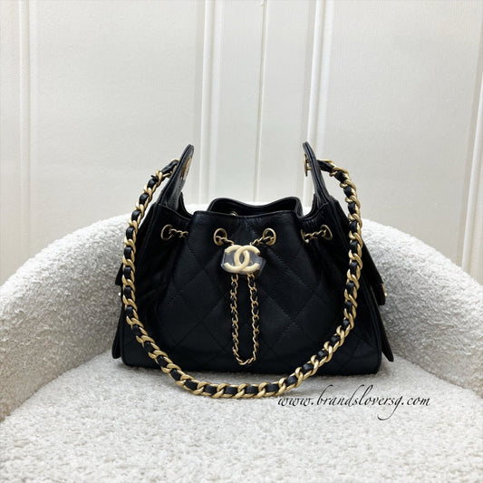 Chanel 25 Mini Hobo Hobo Bag - Rovelle Bags