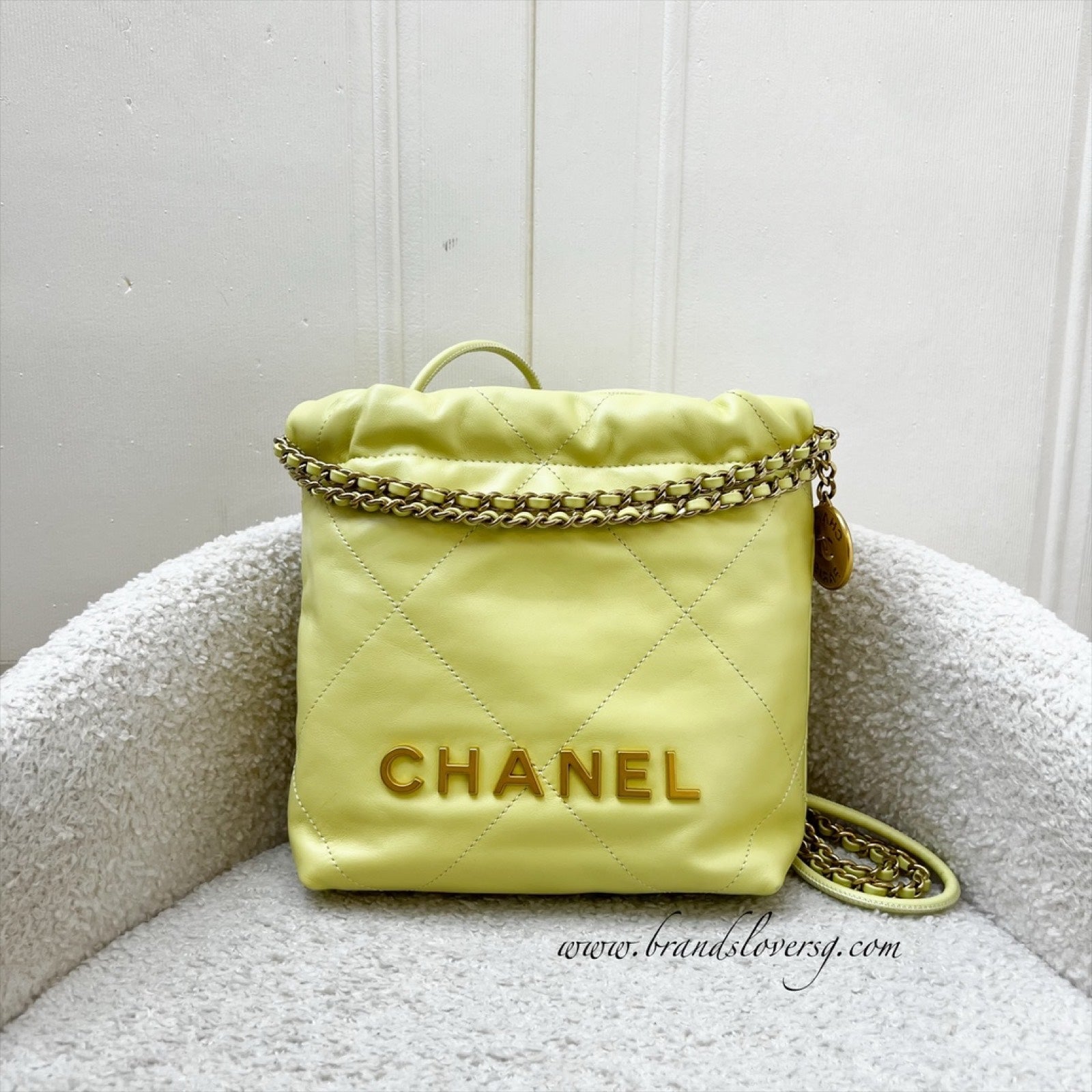 Chanel 22 Mini Hobo Handbag - Rovelle Bags