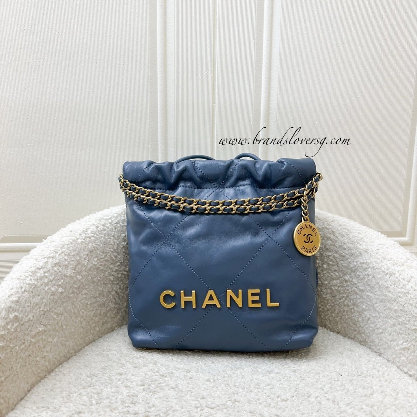 Chanel 22 Mini Hobo Hobo Bag - Rovelle Bags