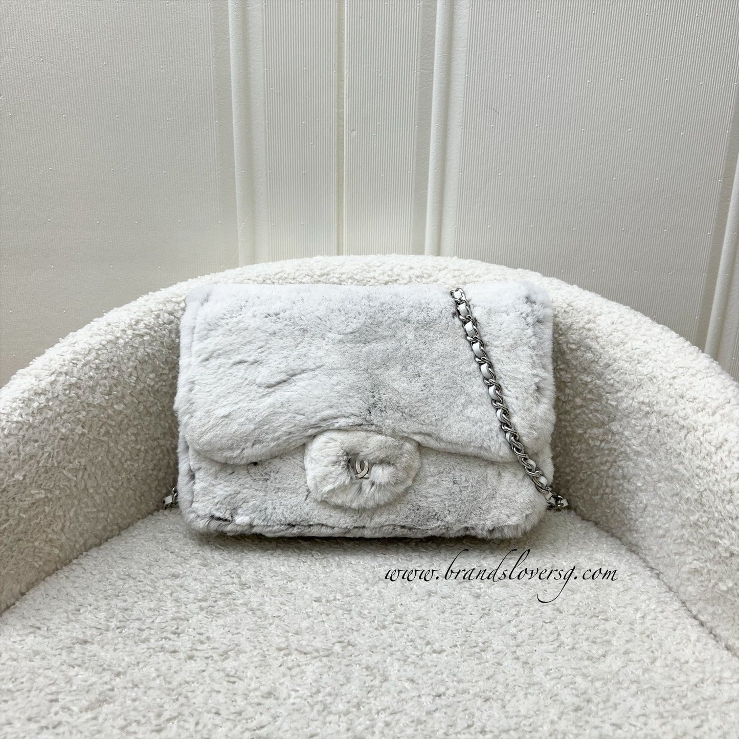 Chanel Wallet on Chain WOC in Crossbody Bag - Rovelle Bags