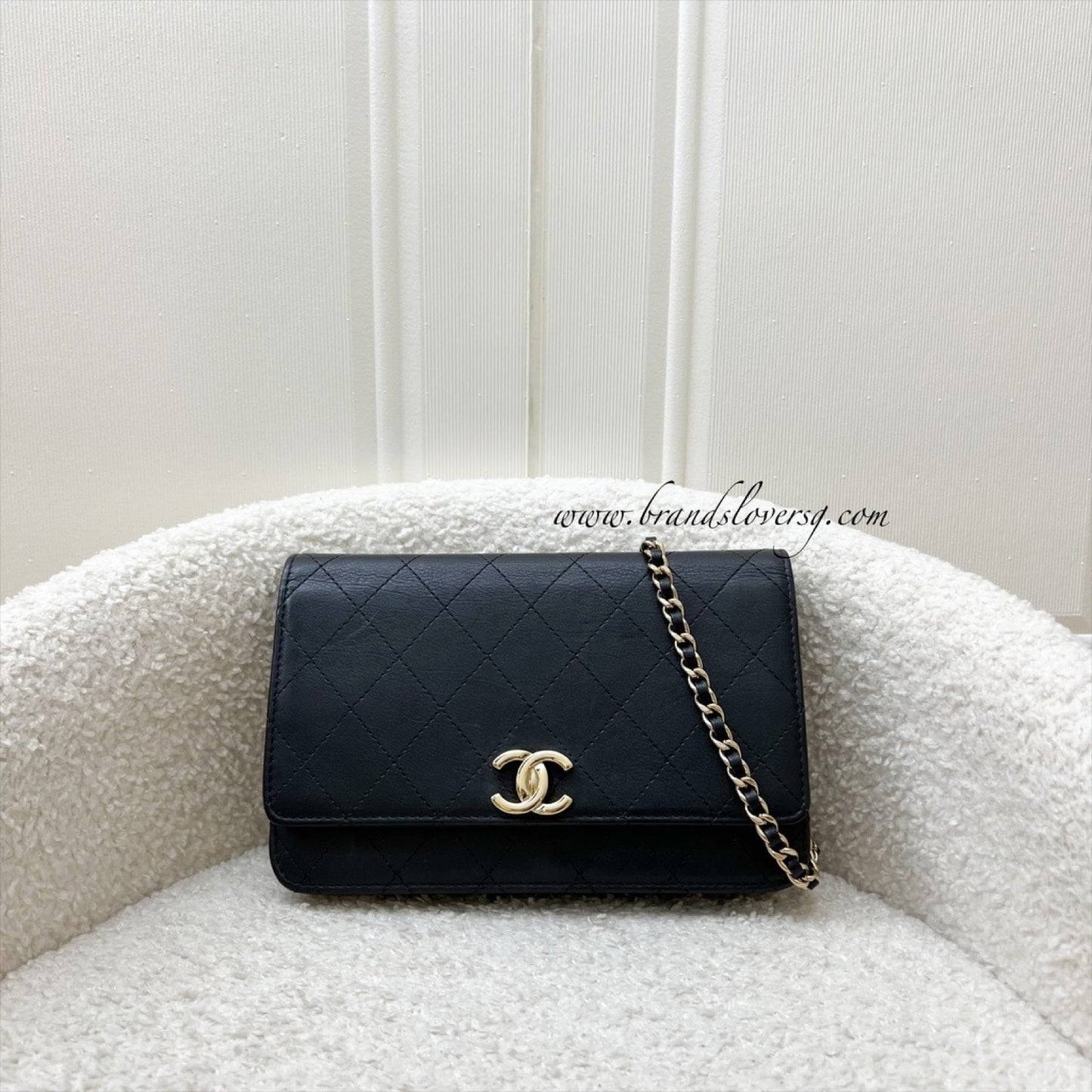 Chanel Seasonal Wallet on Chain WOC Crossbody Bag - Rovelle Bags
