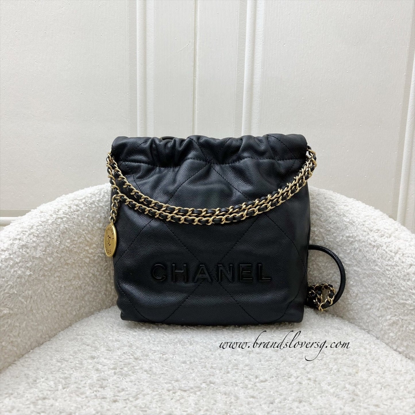 Chanel 22 Mini Hobo Handbag - Rovelle Bags
