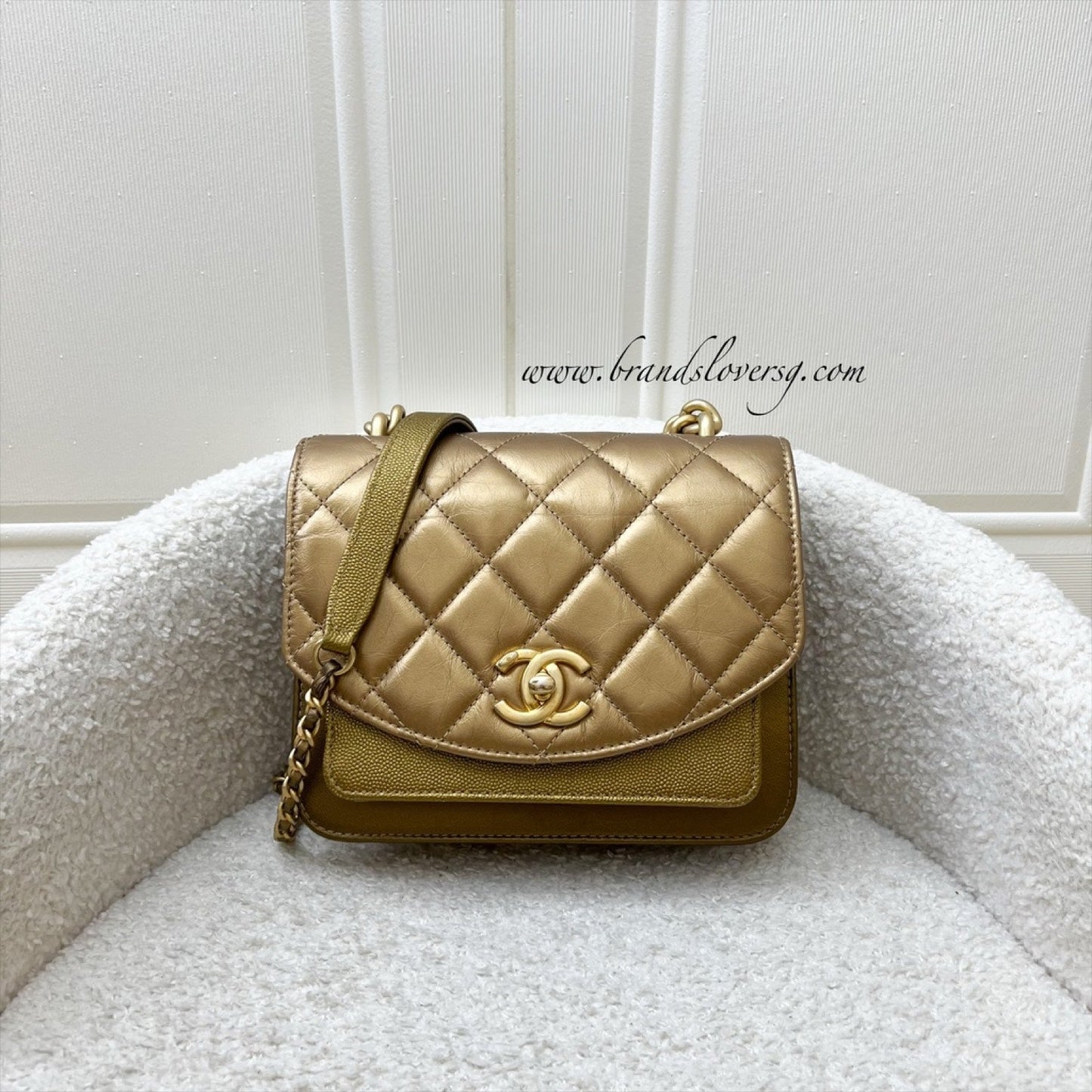 Chanel Seasonal Flap Flap Bag - Rovelle Bags