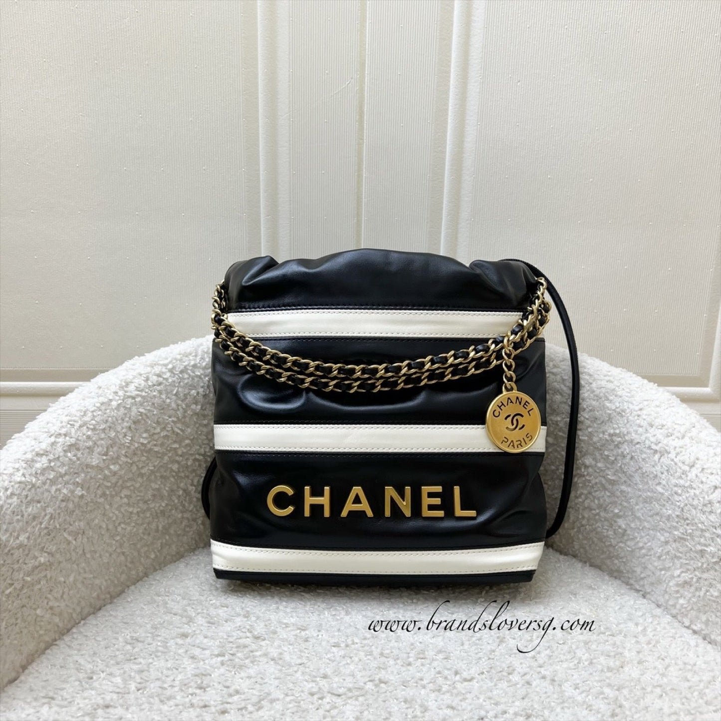 Chanel 22 Mini Hobo Handbag - Rovelle Bags