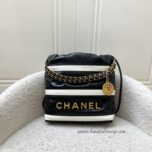 Chanel 22 Mini Hobo Handbag - Rovelle Bags
