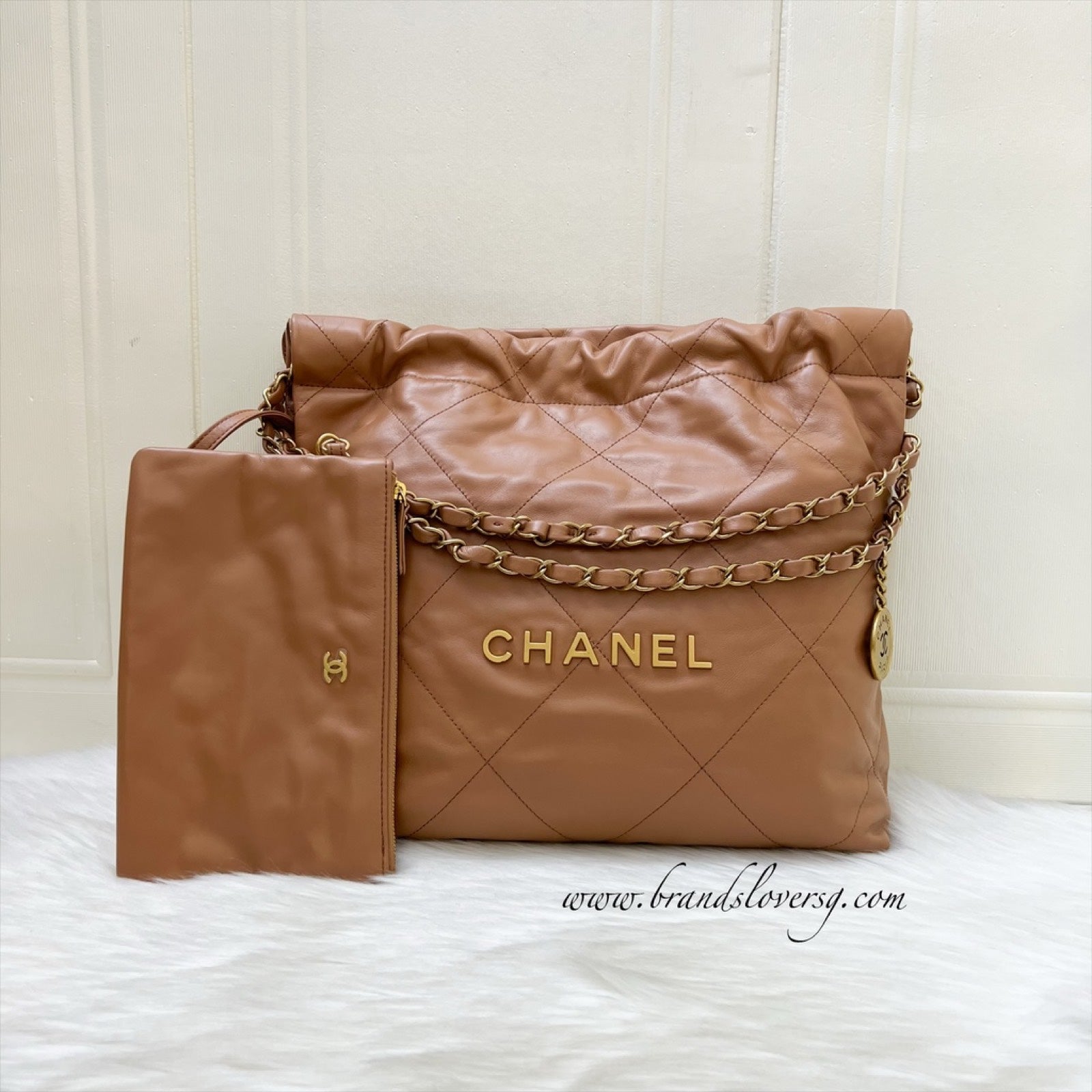 Chanel 22 Small Hobo Handbag - Rovelle Bags