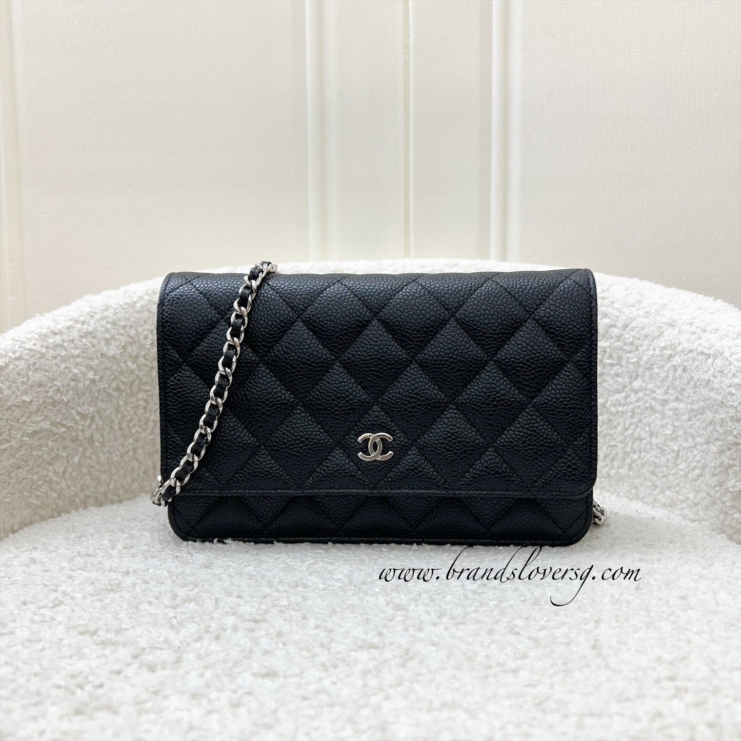 Chanel Classic Wallet on Chain WOC Crossbody Bag - Rovelle Bags