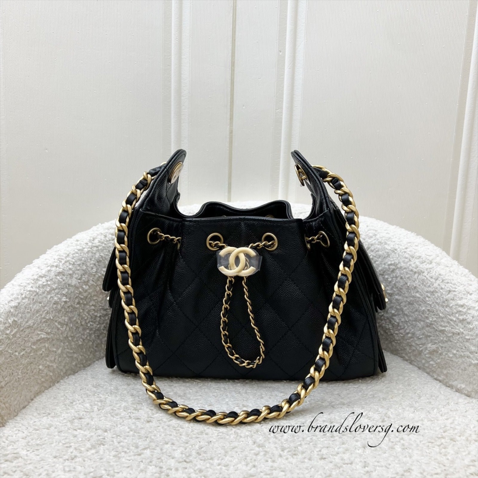 Chanel 25 Mini Hobo Hobo Bag - Rovelle Bags