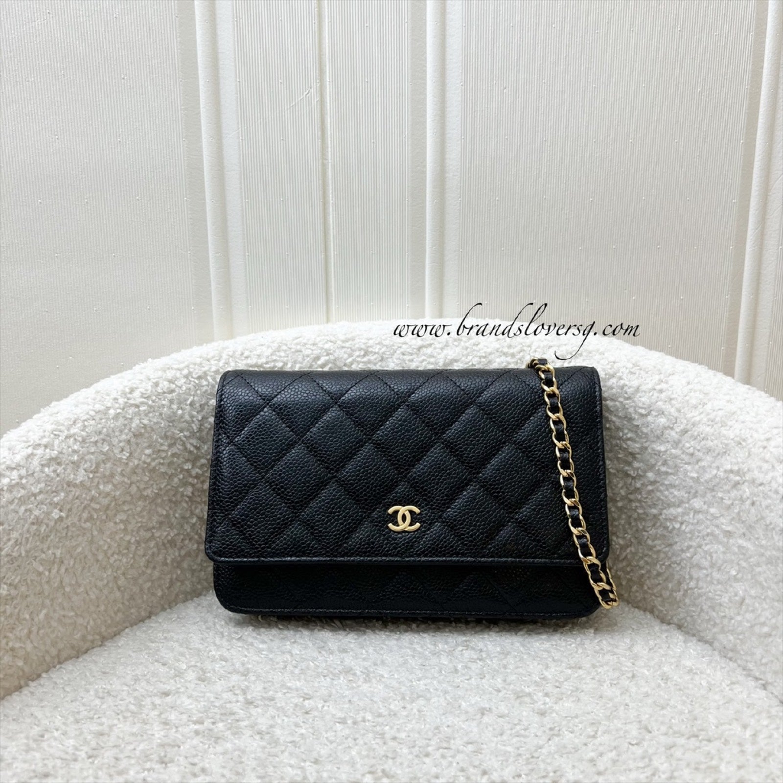 Chanel Classic Wallet on Chain WOC Crossbody Bag - Rovelle Bags