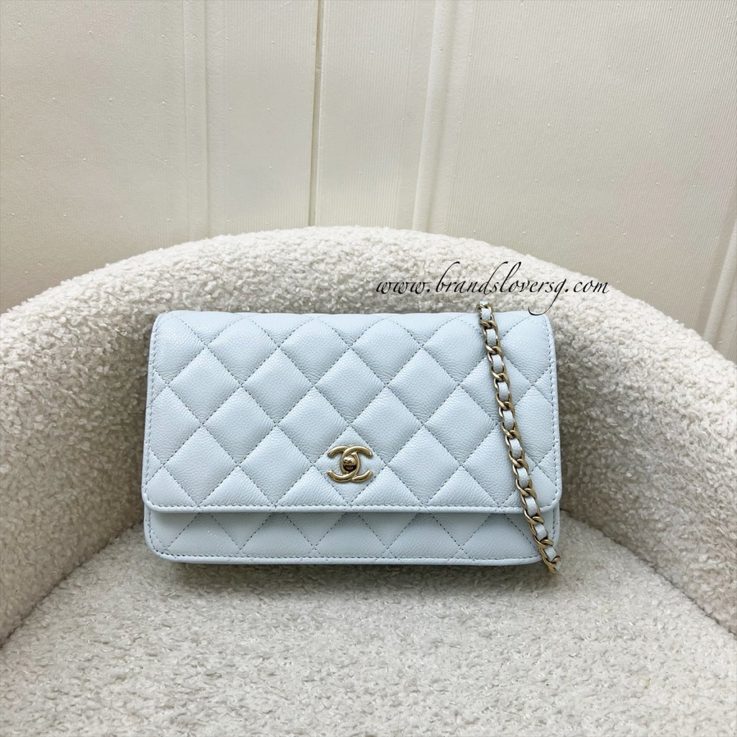 Chanel Classic Wallet on Chain WOC Crossbody Bag - Rovelle Bags