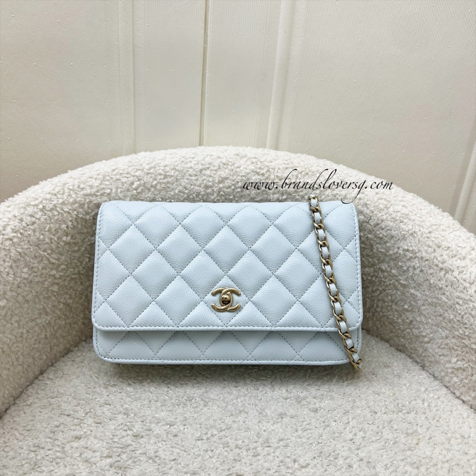 Chanel Classic Wallet on Chain WOC Crossbody Bag - Rovelle Bags