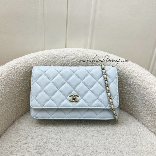 Chanel Classic Wallet on Chain WOC Crossbody Bag - Rovelle Bags