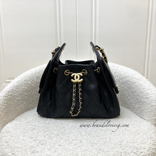 Chanel 25 Mini Hobo Hobo Bag - Rovelle Bags