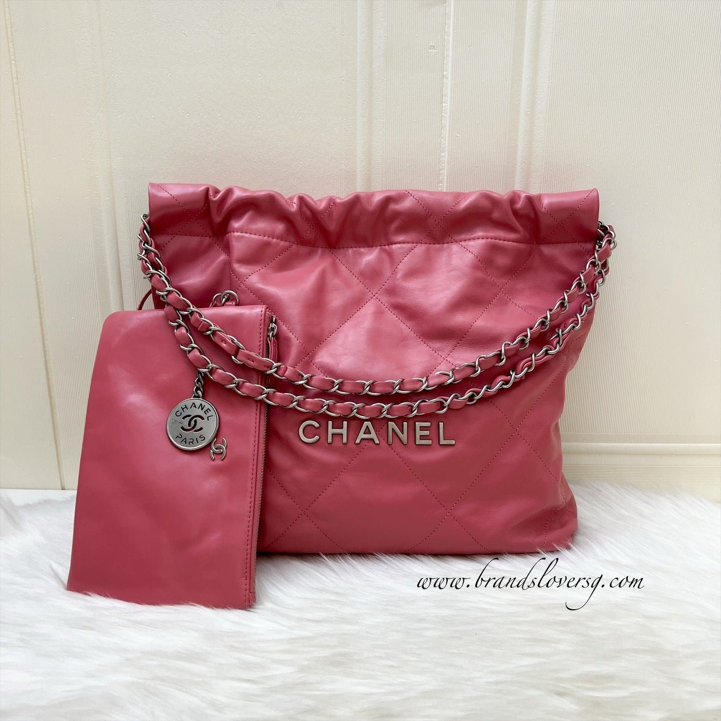 Chanel 22 Small Hobo Hobo Bag - Rovelle Bags