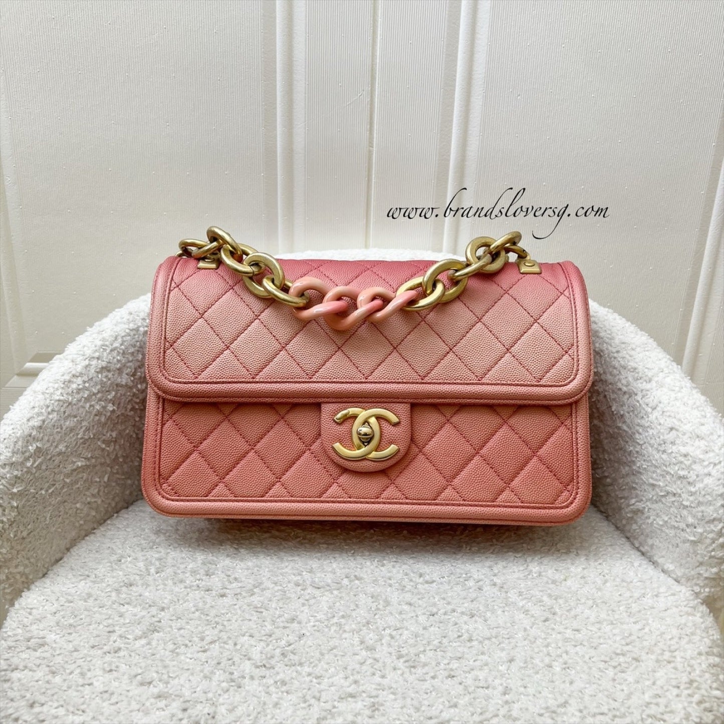 Chanel Seasonal Flap Flap Bag - Rovelle Bags