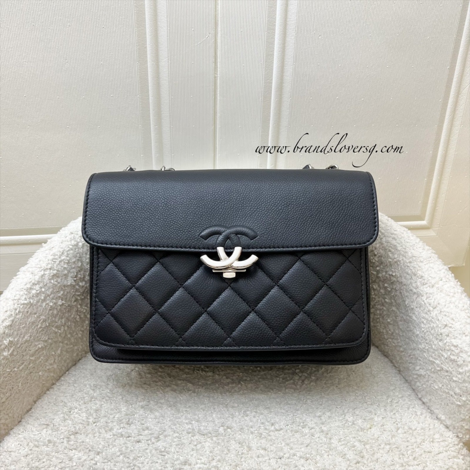 Chanel Seasonal Medium Flap Flap Bag - Rovelle Bags