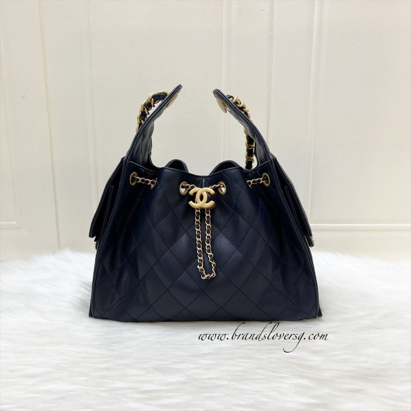 Chanel 25 Small Hobo Hobo Bag - Rovelle Bags
