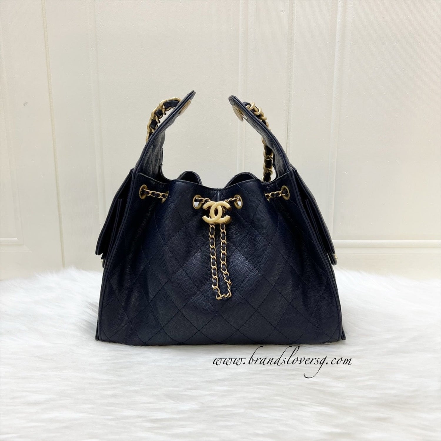 Chanel 25 Small Hobo Hobo Bag - Rovelle Bags