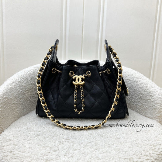 Chanel 25 Mini Hobo Hobo Bag - Rovelle Bags