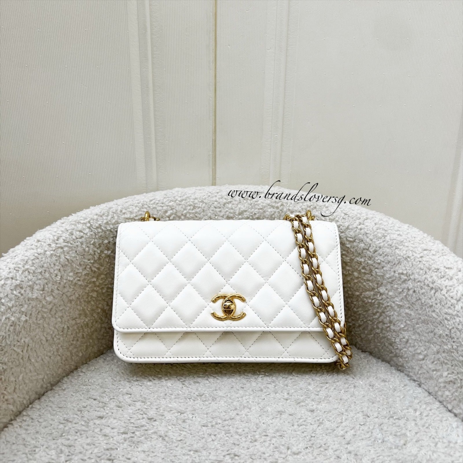 Chanel Seasonal Wallet on Chain WOC Crossbody Bag - Rovelle Bags