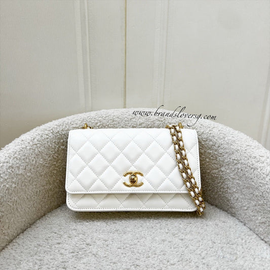 Chanel Seasonal Wallet on Chain WOC Crossbody Bag - Rovelle Bags