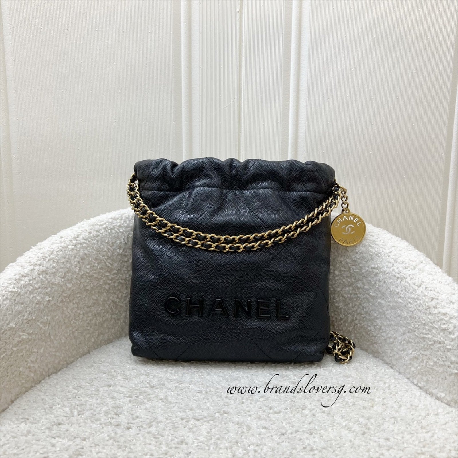 Chanel 22 Mini Hobo Handbag - Rovelle Bags