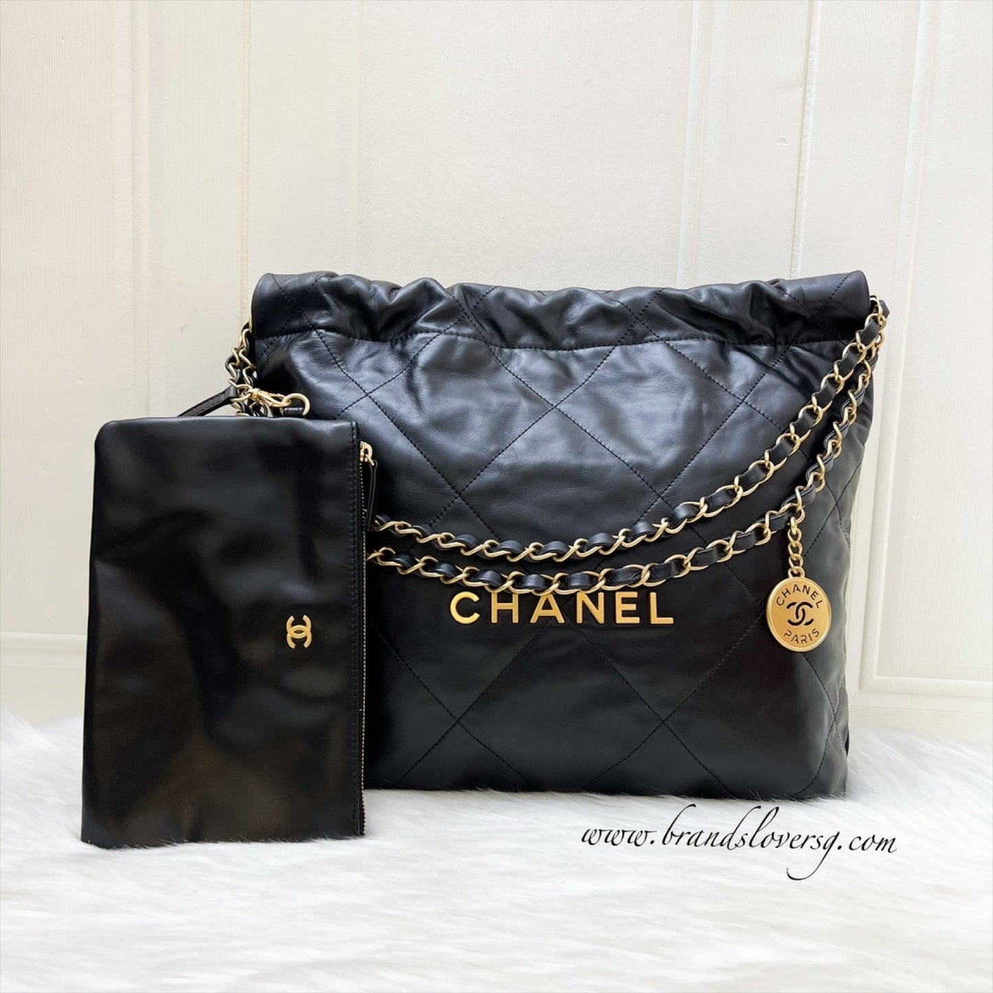 Chanel 22 Small Hobo Hobo Bag - Rovelle Bags