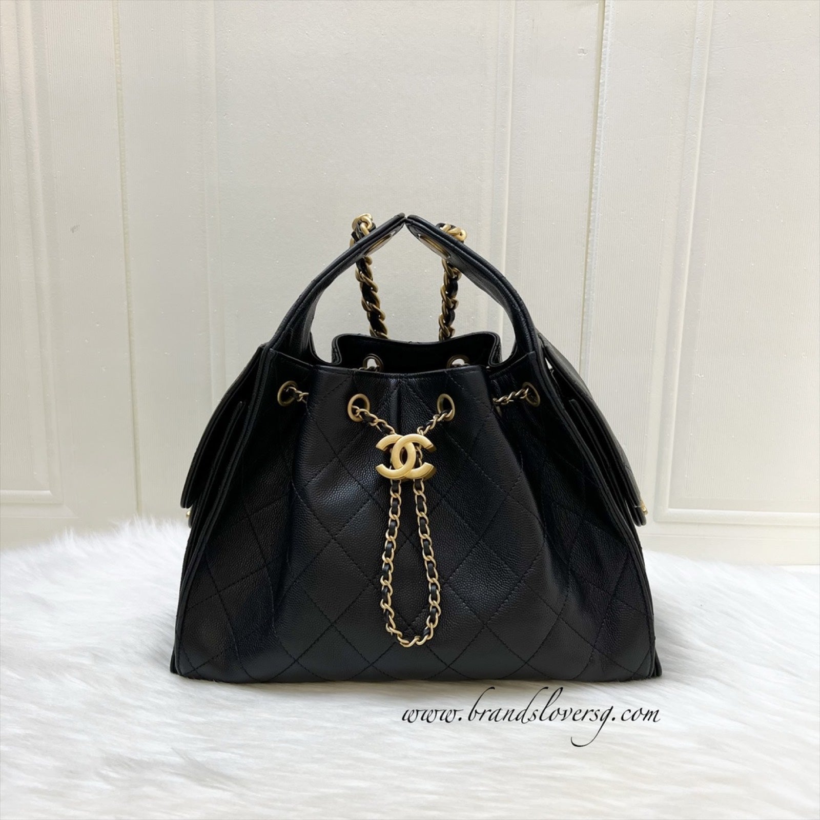 Chanel 25 Small Hobo Hobo Bag - Rovelle Bags