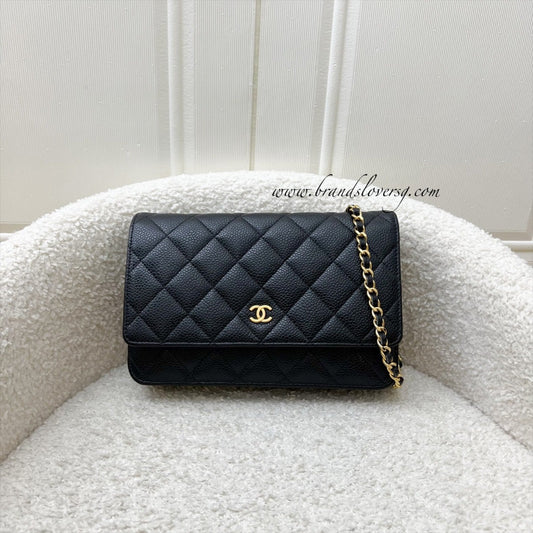 Chanel Classic Wallet on Chain WOC Crossbody Bag - Rovelle Bags