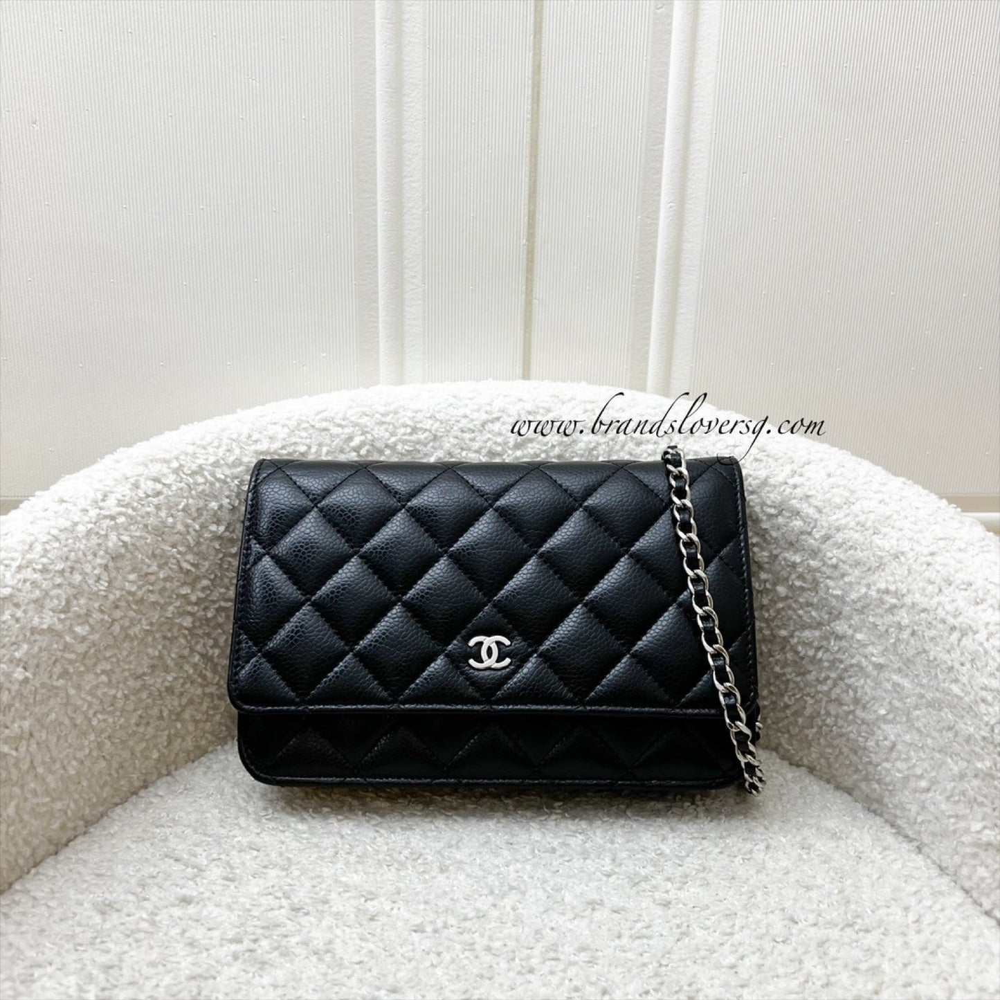 Chanel Classic Wallet on Chain WOC Crossbody Bag - Rovelle Bags