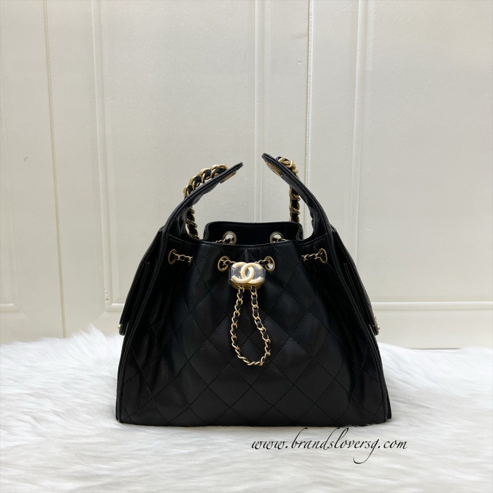 Chanel 25 Small Hobo Hobo Bag - Rovelle Bags