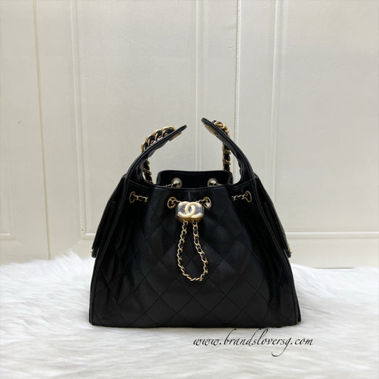 Chanel 25 Small Hobo Hobo Bag - Rovelle Bags