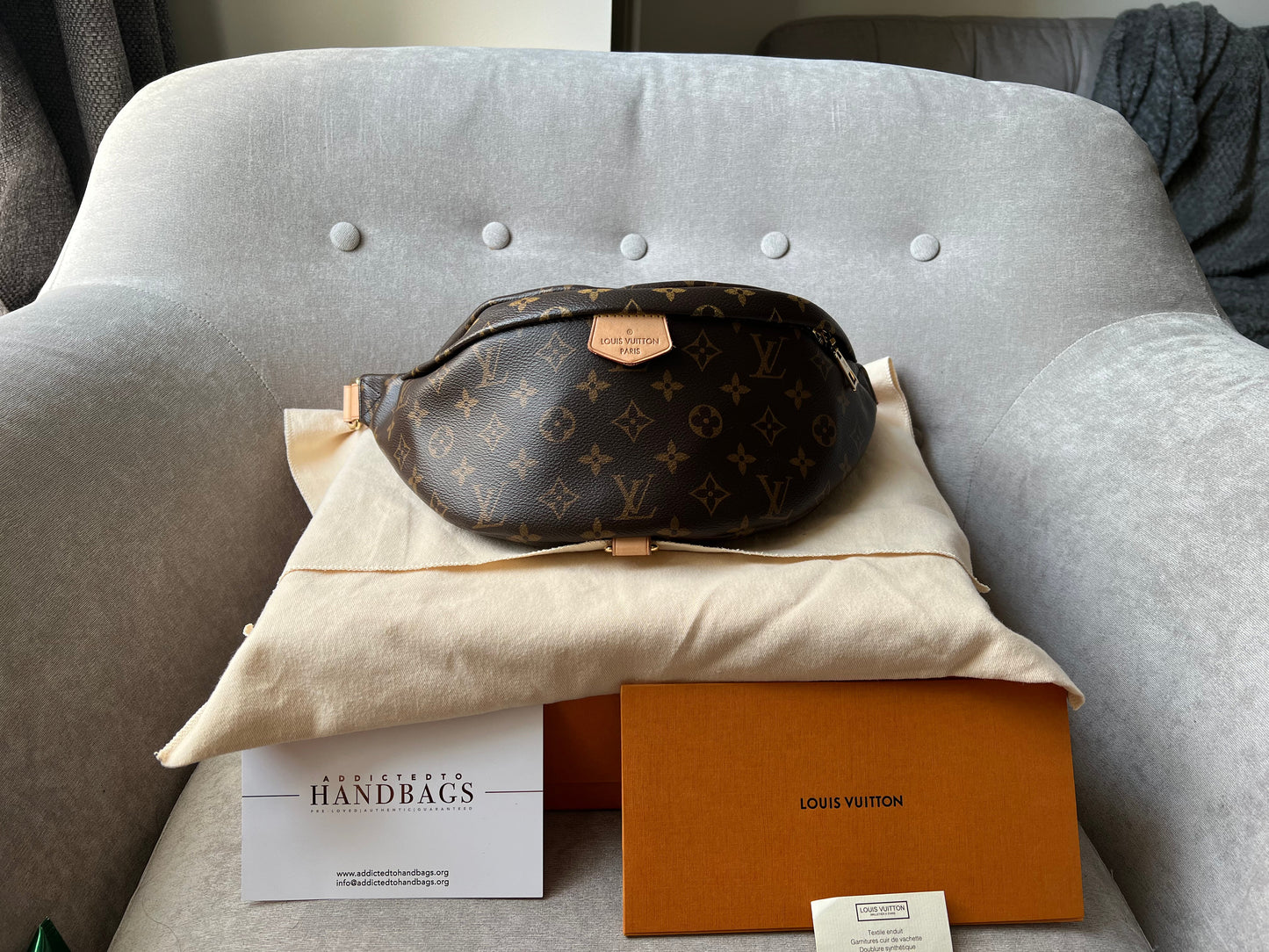 Louis Vuitton BumBag in Monogram Canvas