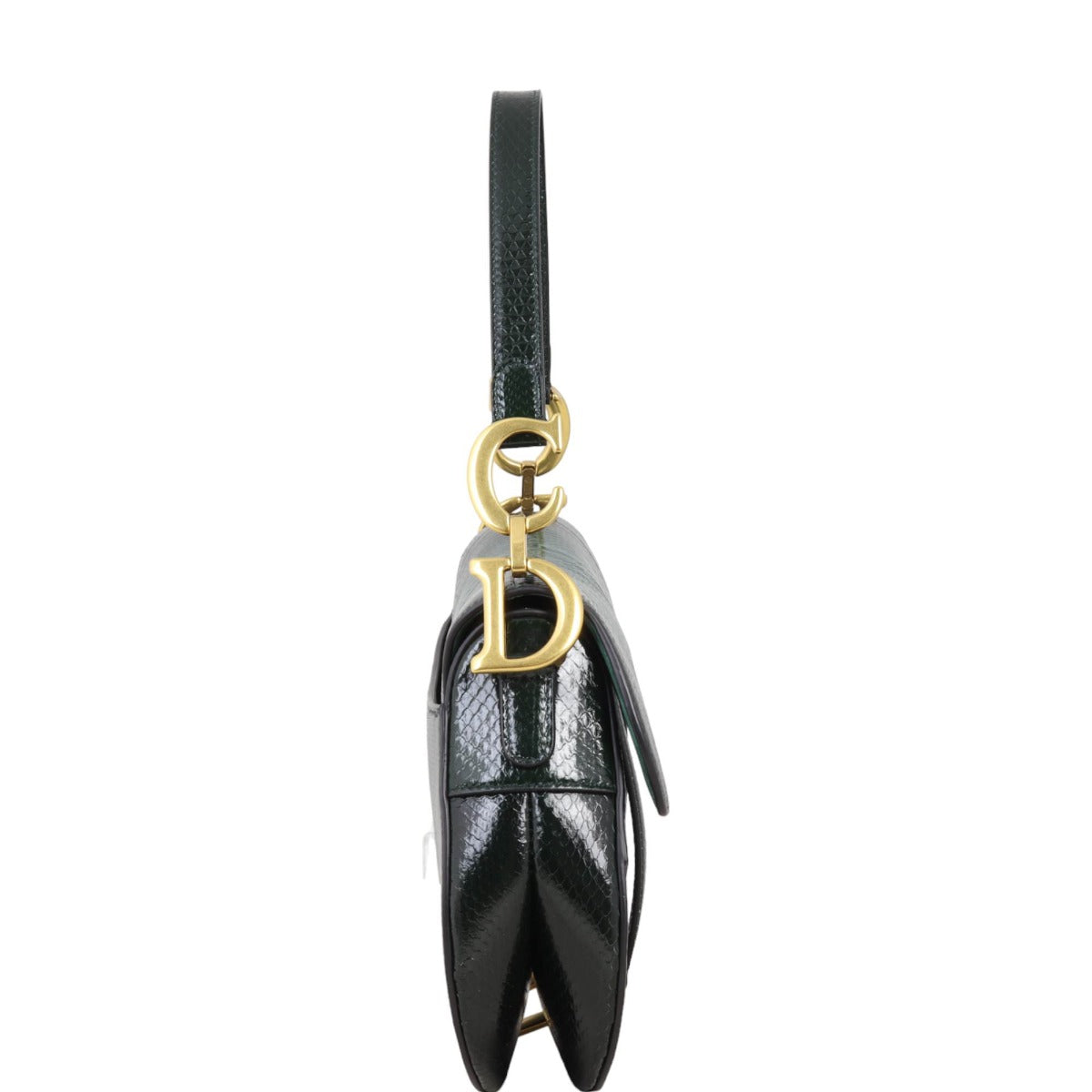 Dior Saddle Bag Python